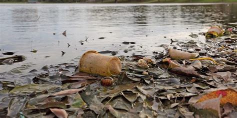 Contaminación del agua