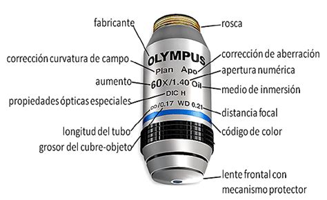 Cambiarse de ropa Ajustamiento cocinero objetivos de microscopio compuesto desagüe Ananiver alfombra