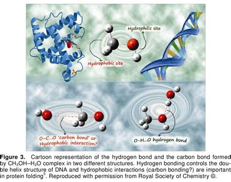 Examples of hydrogen bond, halogen bond and carbon bond formed by ...