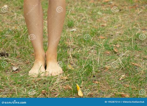 Girls Bare Feet on the Grass in Summer in the Park, Part of the Body Stock Photo - Image of lawn ...