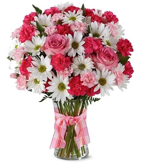 Daisy Flower Arrangement Ideas | Best Flower Site