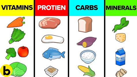 6 Nutrients ~ Certificate Letter