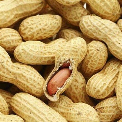 Pin by juneye on JY Instagram | Peanut, Protein rich foods, Protein in ...