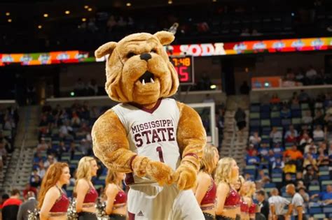 Mississippi State Mascot Injured After Being Run Over