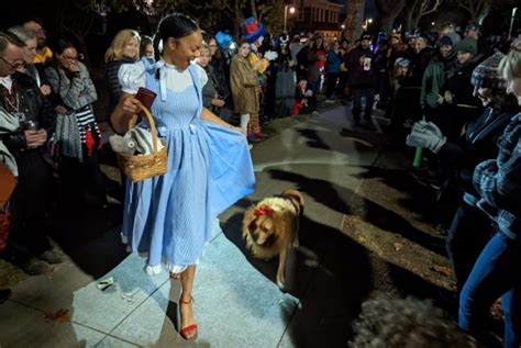 Dog Costume Contest a Highlight of Halloween Sausalito | DESTINATION ...