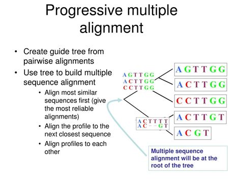 PPT - Multiple sequence alignment PowerPoint Presentation, free download - ID:5644426