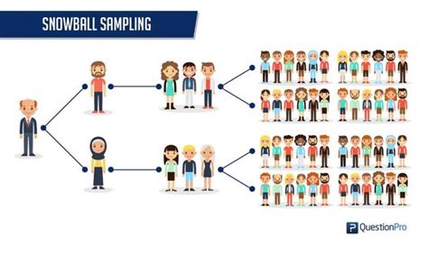 Snowball Sampling: Definition, Method, Advantages and Disadvantages ...