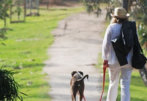 Mature Woman on Holiday Walking Pet Dog Stock Photo - Image of background, close: 31962326