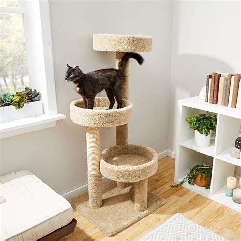 Frisco 50-in Real Carpet Wooden Cat Tree, Beige - Chewy.com