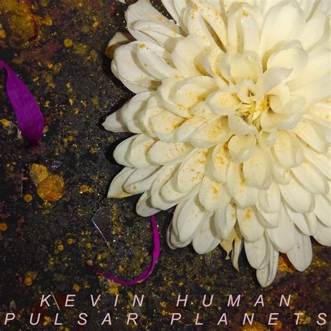 Pulsar Planets | Kevin Human