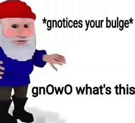 You’ve been Gnomed : r/memes