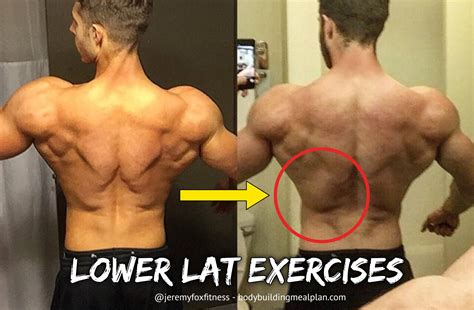 7 Best Lower Lat Exercises For A Beastly Back