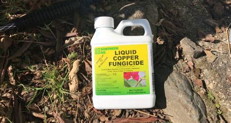 Use of copper sulphate as a fungicide - Global Gardening Secrets