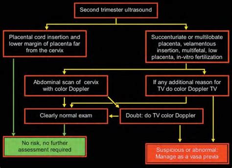 Vasa previa definition, causes, symptoms, diagnosis, ultrasound ...