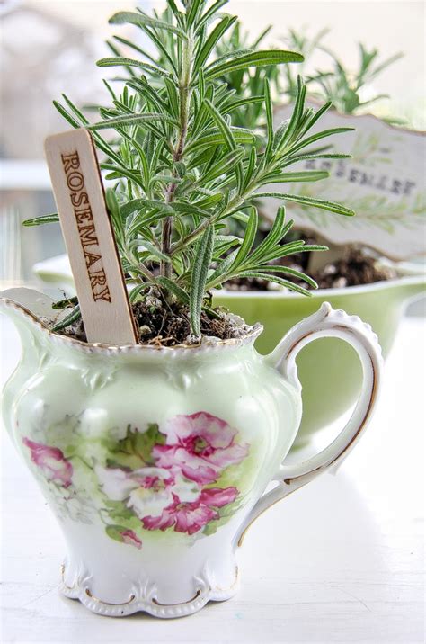 Lady and the Blog: Herb Planter Gifts | Tonya Staab