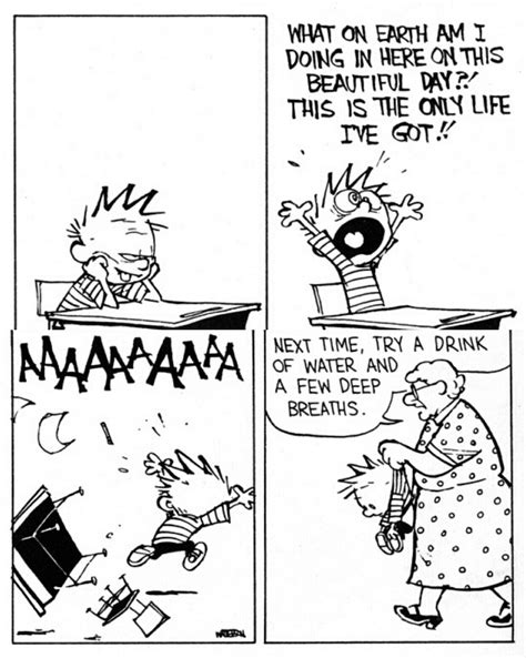 This is the only life I've got! : r/calvinandhobbes