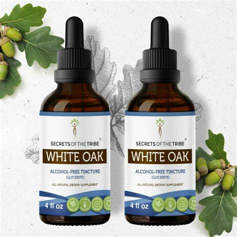 White Oak Tincture Alcohol-FREE Extract, Organic White Oak (Quercus alba) Dried Bark 2x4 oz ...