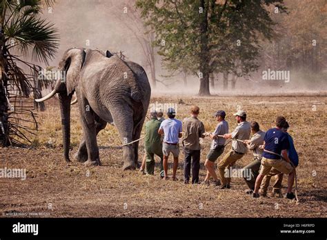 Undated picture released by Kensington Palace of Prince Harry while he ...