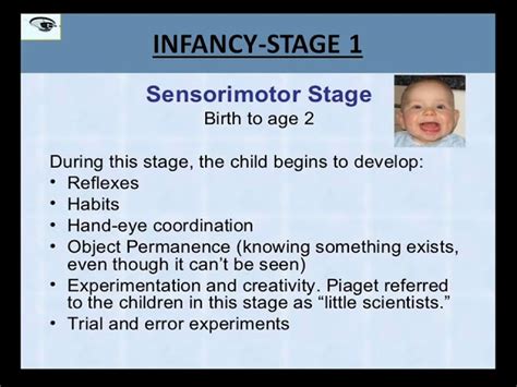 Piaget Sensorimotor Reflexes Sale | netla.hi.is