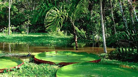 National Parks & Nature Reserves in Peru