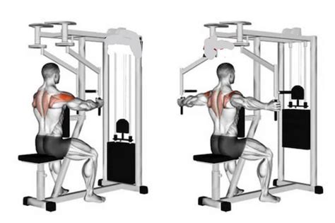 The Rear Delt Fly Machine 101 | Form, Benefits, & Alternatives!