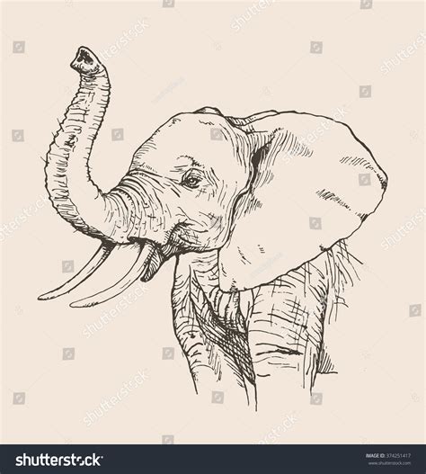 31,331 Elephant Sketch Images, Stock Photos & Vectors | Shutterstock