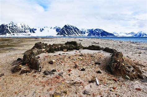 Bouvet Island, located near Antarctica. Definitely out of the way ...