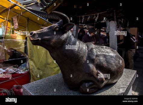 Ume festival,Yushima Tenmangu,Bunkyo-Ku,Tokyo,Japan Stock Photo - Alamy