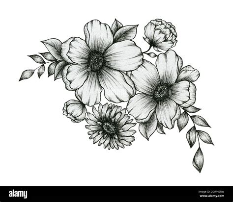 hand drawn bouquet of flowers isolated on white, black and white ink floral design with flowers ...