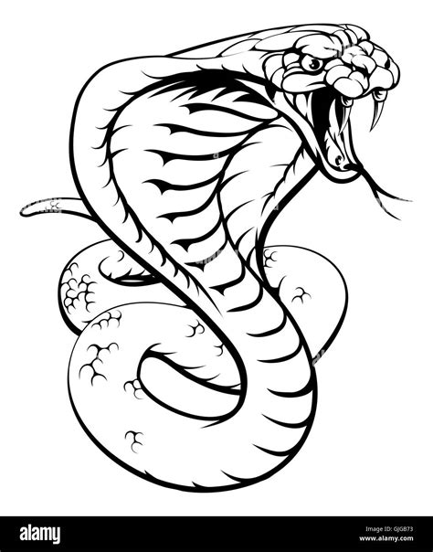 King Cobra Snake Images Drawing King cobras are one of the most venomous snakes in the world