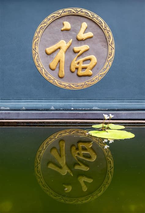 Fu Chinese symbol meaning happiness reflecting in water with lotus lily ...