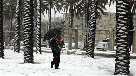 PHOTOS: Snow in Florida for the First Time in Years