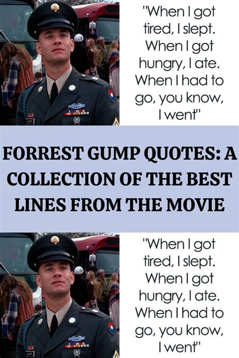 Forrest gump quotes a collection of the best lines from the movie – Artofit