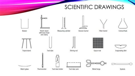 Science Tools and Scientific Drawing