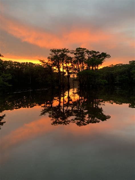 Beauty of Caddo Lake – Mossy Brake Camp Caddo Lake Swamp Tours