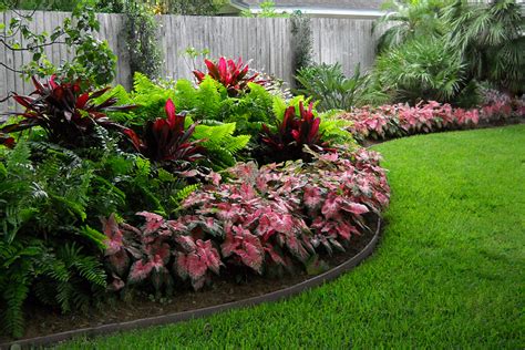 Tropical garden design, Florida plants landscaping, Tropical backyard landscaping