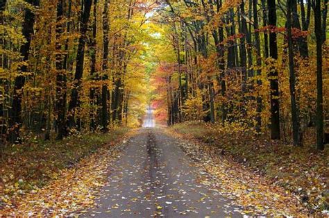 Take a Breathtaking Fall Foliage Drive in Western Pennsylvania | Fall ...