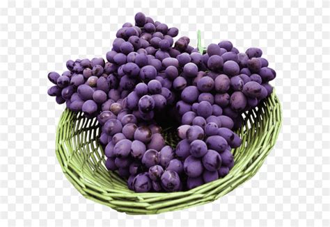 Carolina Black Rose Grape, Plant, Grapes, Fruit HD PNG Download – Stunning free transparent png ...