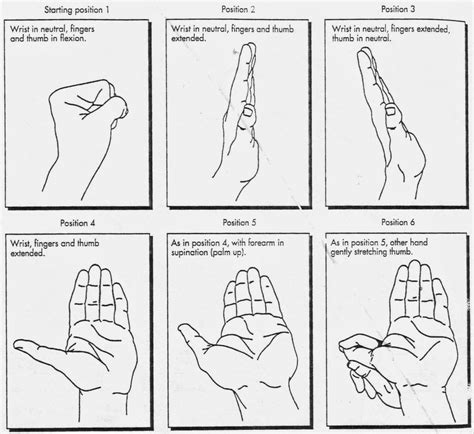 Nerve and Tendon Gliding Exercise | World of occupational therapy Ocupational Therapy, Hand ...