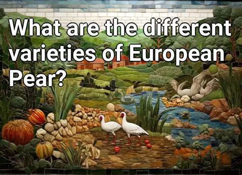 What are the different varieties of European Pear? – Agriculture.Gov.Capital