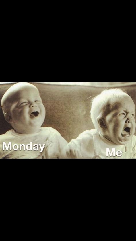 Monday Blues? Check Out These Memes To Cheer Up