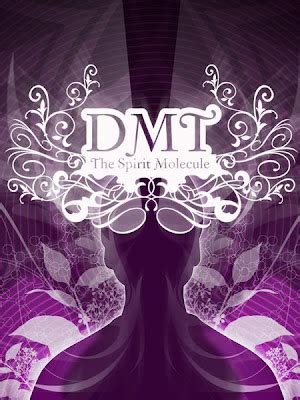 DMT : The Spirit Molecule Documentary - Psychedelic Adventure