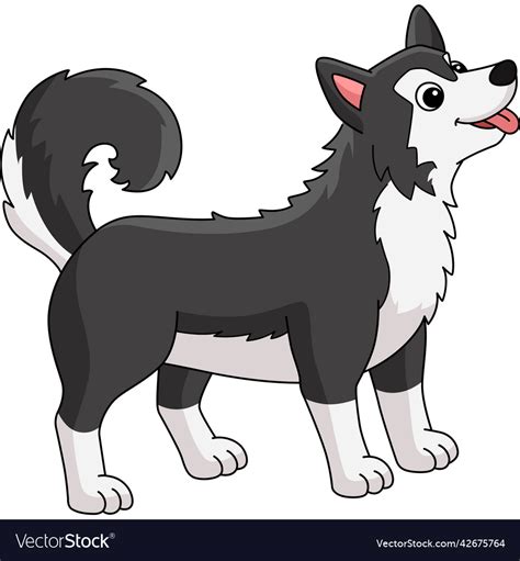 Siberian husky dog cartoon clipart Royalty Free Vector Image