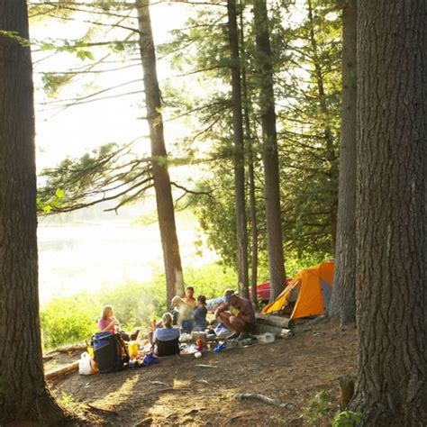 Camping in the Forest offers 33 per cent off pitches