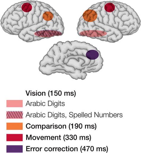 Encoding Definition (Psychology) And Its Role In Memory | Betterhelp