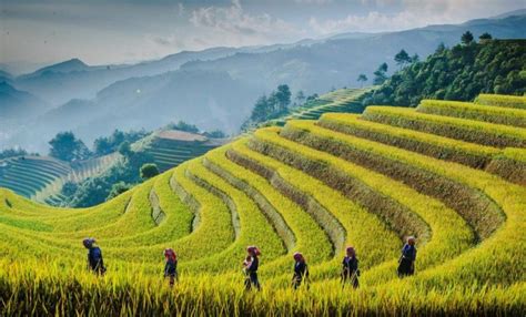 Vietnam village life: Guide to exploring the local routines