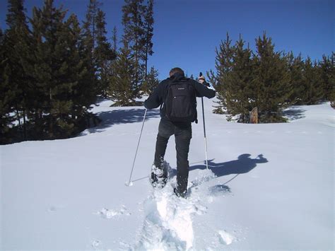 Fourteen alternative activities for non-skiers on a ski holiday. – Baby ...