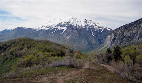 Squaw Peak 50 Mile Trail Run - 2011