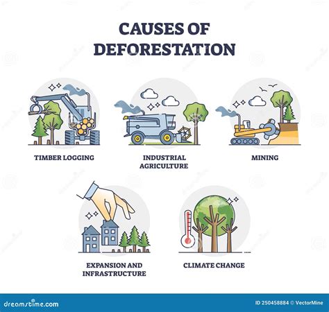 What are the causes of deforestation. What are the main causes of ...