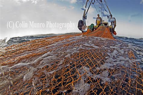 Bottom Trawling - Trawl Gears and Long-Lining